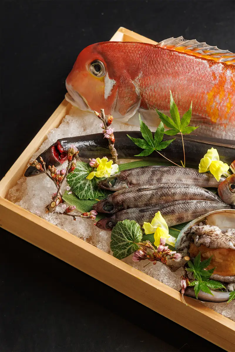 Omakase Menu - Toronto's Premier Omakase